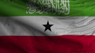 Somaliland Bayrak Döngüsü Arkaplan 4K