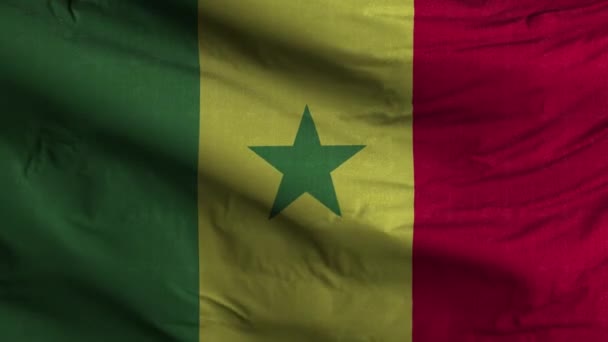 Senegal Bandiera Loop Sfondo — Video Stock