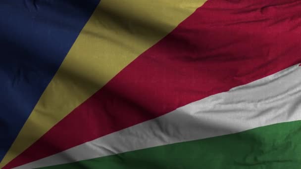 Seychelles Bandeira Loop Fundo — Vídeo de Stock