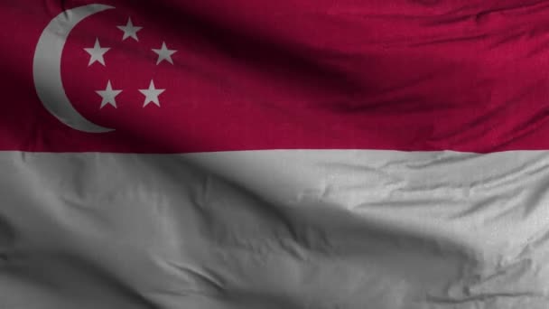 Singapurská Vlajková Smyčka Pozadí — Stock video