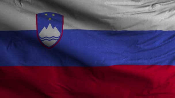 Словения Флаг Петля Фон — стоковое видео
