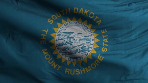 サウスダコタ州旗ループの背景 — ストック動画