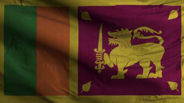 Sri Lanka Bandiera Loop Sfondo — Video Stock