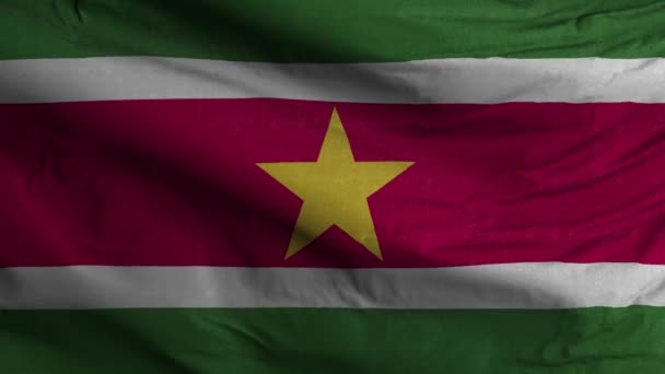 Suriname Flagge Schleife Hintergrund — Stockvideo
