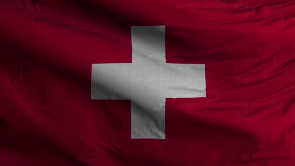 Švýcarsko Vlajková Smyčka Pozadí — Stock video