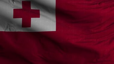 Tonga Bayrak Döngüsü Arkaplan 4K