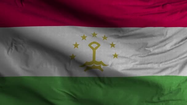 Tajikistan Flag Loop Background — Stock Video