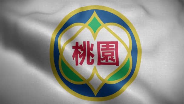 Taoyuan Stad Taiwan Vlag Lus Achtergrond — Stockvideo