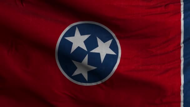 Tennessee State Flag Loop Bakgrund — Stockvideo