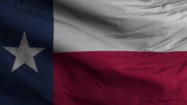 Texas State Flag Loop Background — Stock Video