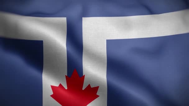 Toronto Canada Flag Loop Achtergrond — Stockvideo