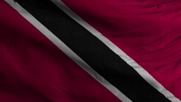 Trinidad Tobago Bayrak Döngüsü Arkaplan — Stok video
