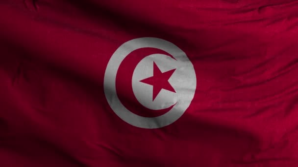 Tunisia Flag Loop Latar Belakang — Stok Video