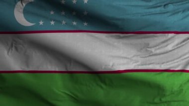 Özbekistan Bayrak Döngüsü Arkaplan 4K