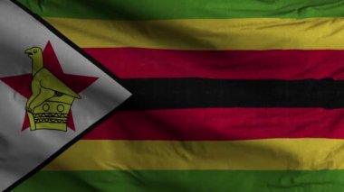 Zimbabwe Bayrak Döngüsü Arkaplan 4K