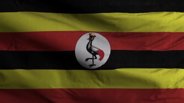 Uganda Flagge Schleife Hintergrund — Stockvideo