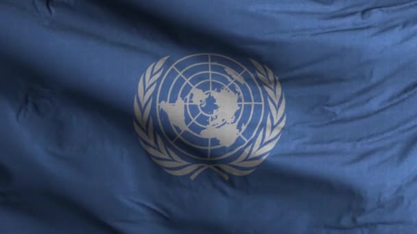 Boucle Drapeau Des Nations Unies Contexte — Video
