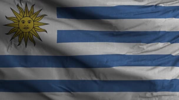 Uruguay Flagge Schleife Hintergrund — Stockvideo