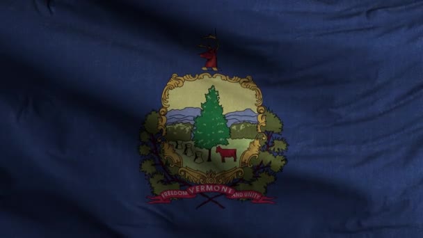 Vermont State Flag Loop Background — Stock Video