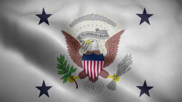 Egyesült Államok Flag Loop Háttér Alelnöke — Stock videók