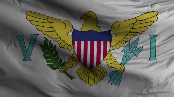 Virgin Islands Flag Loop Background — Stock Video