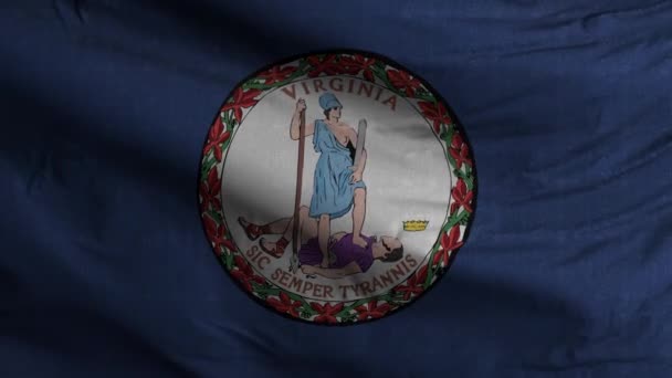Флаг Штата Вирджиния Петля Фон — стоковое видео