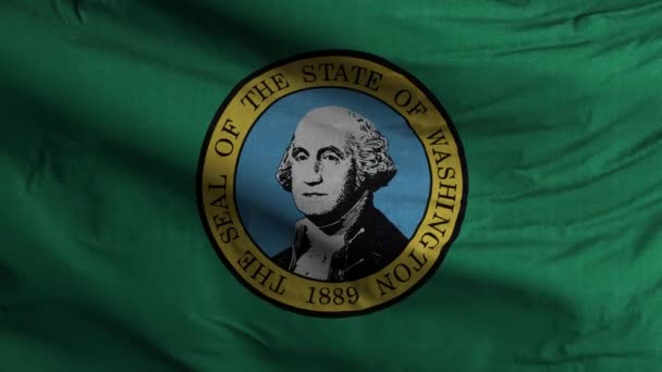 Washington State Flag Loop Background — стокове відео