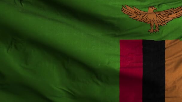 Pozadí Smyčky Vlajky Zambie — Stock video