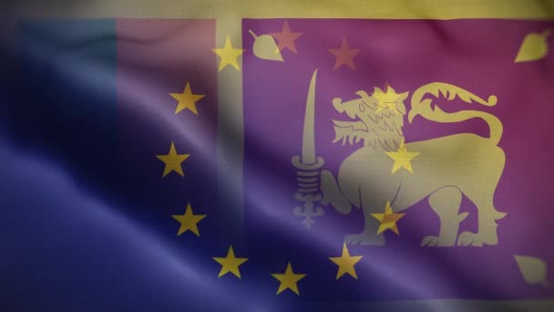 Sfondo Dell Anello Bandiera Sri Lanka — Video Stock