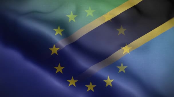 欧盟坦桑尼亚国旗圈背景4K — 图库视频影像