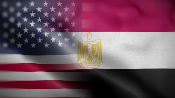 Verenigde Staten Egypte Vlag Lus Achtergrond — Stockvideo
