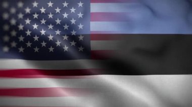 ABD Estonya Bayrak Döngüsü Arkaplan 4K