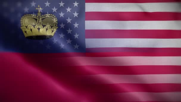 Usa Liechtenstein Flag Loop Background — Stock video