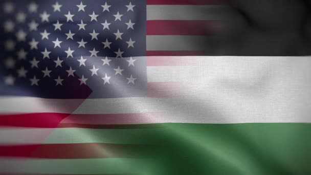 Usa Palestina Flagga Loop Bakgrund — Stockvideo