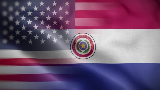 アメリカパラグアイ国旗ループの背景 — ストック動画
