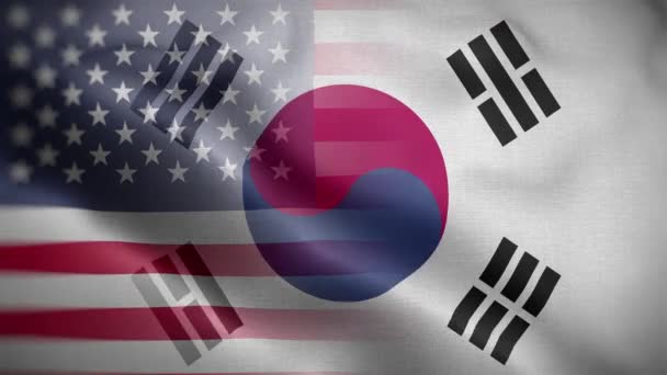美国南韩国旗圈背景4K — 图库视频影像