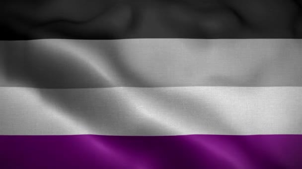 Asexuální Hrdost Vlajka Smyčka Pozadí — Stock video