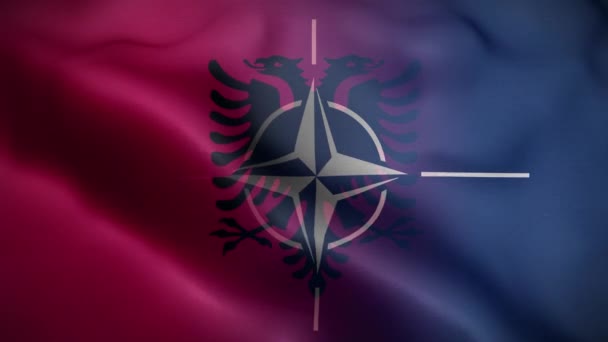 Nato Arnavutluk Bayrak Döngüsü Arkaplan — Stok video