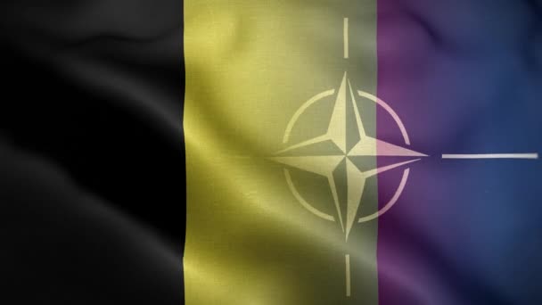 Nato Belçika Bayrak Döngüsü Arkaplan — Stok video