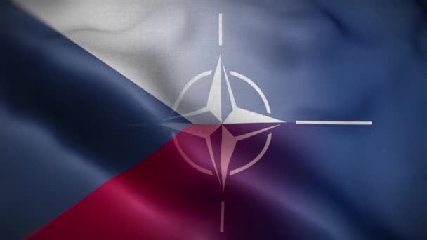 Nato Çek Cumhuriyeti Bayrak Döngüsü Arkaplan — Stok video