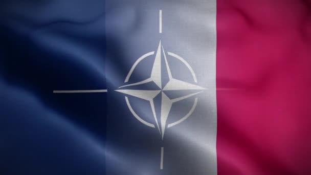 Nato Francia Bandiera Loop Sfondo — Video Stock