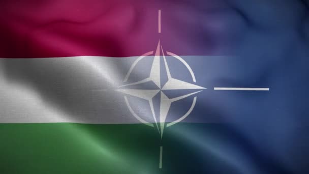 Nato Hungria Bandeira Loop Fundo — Vídeo de Stock