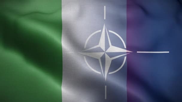 Nato Talya Bayrak Döngüsü Arkaplan — Stok video