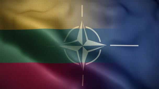 Nato Litvanya Bayrak Döngüsü Arkaplan — Stok video