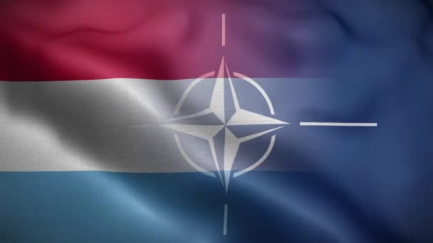 Nato Lüksemburg Bayrak Döngüsü Arkaplan — Stok video