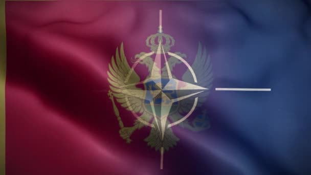 Nato Montenegro Flagge Schleife Hintergrund — Stockvideo