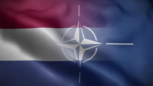 Nato Hollanda Bayrak Döngüsü Arkaplan — Stok video