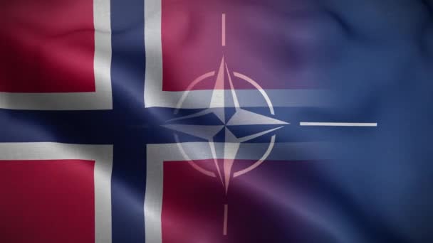 Pozadí Smyčky Vlajky Nato Norska — Stock video