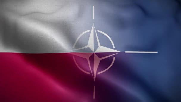 Nato Polonya Bayrak Döngüsü Arkaplan — Stok video