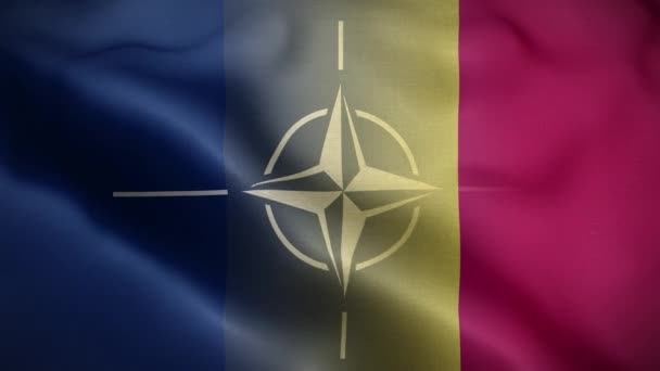 Nato Romanya Bayrak Döngüsü Arkaplan — Stok video